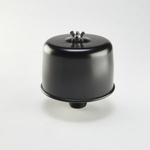 Air filter 1" including filter element